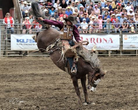 Lakeside rodeo - The Premier Rodeo of Southern California in Lakeside, CA, San Diego County, is wonderful family fun held annually in April hosted by the nonprofit El Capitan Stadium Association. Lakeside Rodeo Tickets. 2023 Lakeside Rodeo April 27 thru April 30 - Tickets on Sale March 2023 Hours & Directions ...